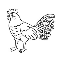 Cute outline rooster coloring pages for kids. Cartoon vector illustration of hand drawn poultry isolated on white background