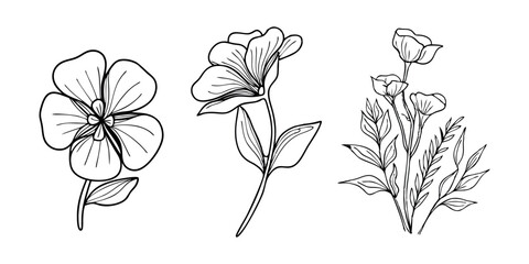 Abstract floral decoration flowers vector Design line art illustration silhouettes Floral vintage sketch   