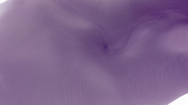 Abstract Purple Fabric Texture with Fluid Movement