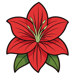 amaryllis flower details design vector style on white background 