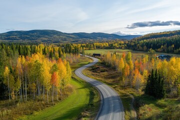 Fototapeta premium A winding road through colorful autumn forests and hills