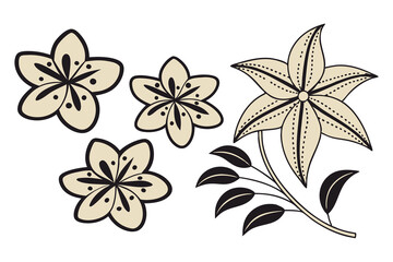 Abstract floral decoration flowers vector Design line art illustration silhouettes Floral vintage sketch   