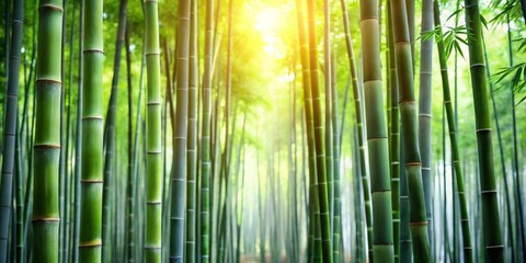 Fototapeta premium Lush Green Bamboo Forest Bathed in Sunlight, Creating a Serene and Peaceful Atmosphere