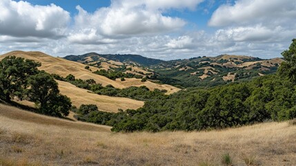 Naklejka premium Rolling golden hills and green trees under a cloudy sky