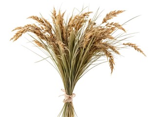 Fototapeta premium Dried Grass Bouquet