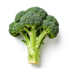 Realistic broccoli isolated on white background, healthy nutrition