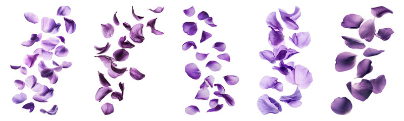PNG Purple petals floating gracefully, element set on transparent background