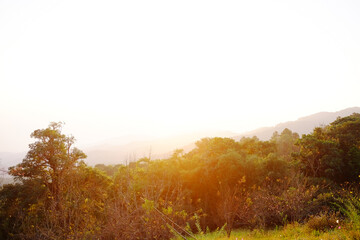 Beautiful sunrise in the morning on the mountain in Thailand