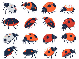 Obraz premium flat vector ladybug icons in crawling and flying poses, clean bold outlines and bright red shell, modern cartoon bug clipart, isolated on white background