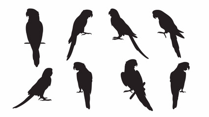 Parrot Macaw silhouette vector set
