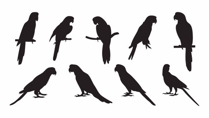 Parrot Macaw silhouette vector set

