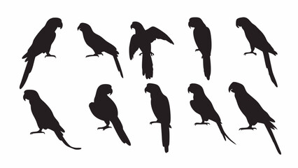 Parrot Macaw silhouette vector set
