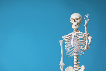 Artificial human skeleton model on light blue background, space for text