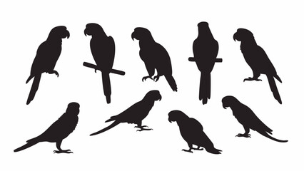 Parrot Macaw silhouette vector set
