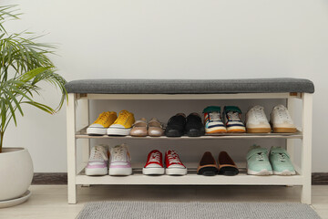 Shoe storage bench with different footwear and houseplant indoors