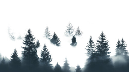 Serene Misty Forest Silhouette: Nature's Tranquility Captured in a Striking Image