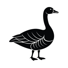 Isolated Goose Farming Animal Graphic