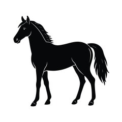Isolated Horse Standing Clipart Vector