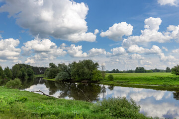 Obraz premium A calm river with trees and grass on either side