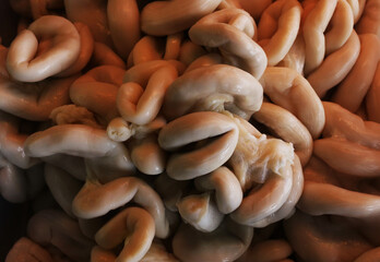 Part of the pig small intestine or pig entrails