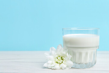 Glass of fresh milk and flower on white wooden table against light blue background. Space for text