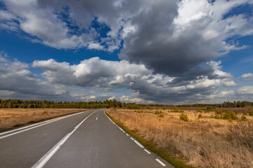 A road with a few trees in the background and a cloudy sky