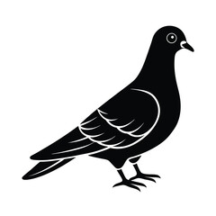 Isolated Pigeon Flying Bird Illustration
