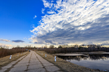 Fototapeta premium A road with a few trees in the background and a cloudy sky