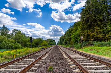 railway in the forest