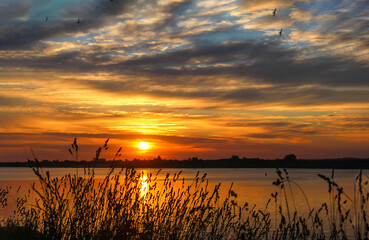 sunset over the river