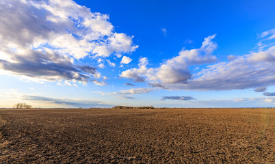 A field of dry grass with a blue sky in the background