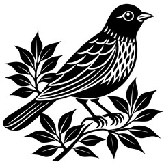 bird on a branch
