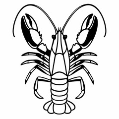 crayfish vector illustration