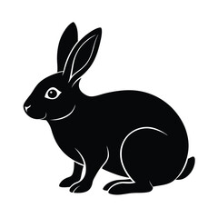 Isolated Rabbit Animal Clipart