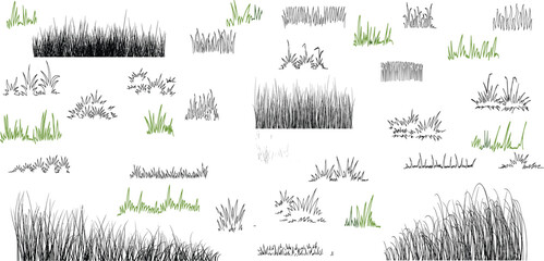 Doodle grass. Sketch natural field grass. Outline hand drawn wild grassy plants.