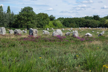 STANDING STONES FROM MÉNEC AT CARNAC