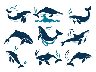 Obraz premium flat vector whale icons in swimming, spouting, and tail-flick poses, clean bold outlines and ocean blue color palette, modern marine clipart, isolated on white background