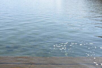 猪苗代湖の湖面