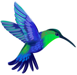 Hummingbird Flying