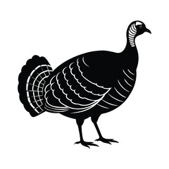Turkey Farm Bird Clipart