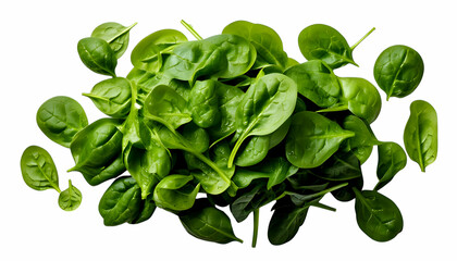 Fototapeta premium Fresh Green Spinach: A vibrant pile of fresh, organic spinach leaves. Captured from above in a bright, appealing, photo.