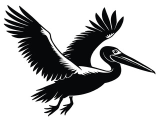 Pelican bird in flight, a white silhouette vector with wings, isolated wildlife freedom