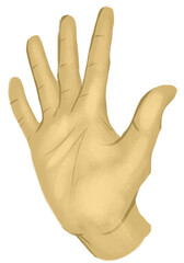 High Five Hand Gesture