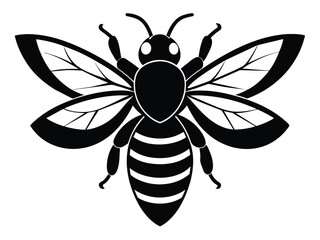 Isolated vector illustration shows a black and white beetle near a flying black wasp, an insect of nature