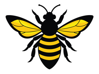 A cute yellow cartoon bee vector illustration, an isolated flying insect