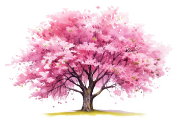 Obraz premium PNG Blossom flower plant tree.