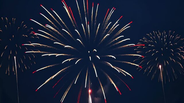 Fireworks exploding in a burst of red and blue dots on a dark backdrop. 4th July independence day New concept.