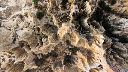 Yunnan Earth Forest Scenery