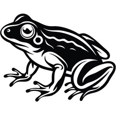 Frog isolated vector, Frog silhouette vector art