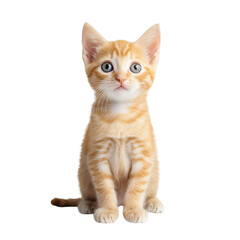 Photorealistic Ginger Kitten with Fluffy Fur and Orange Tabby Markings on White Background
